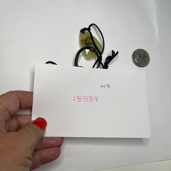 Insect pendant necklace on black cord gothic unusual jewelry costume - Picture 13 of 14